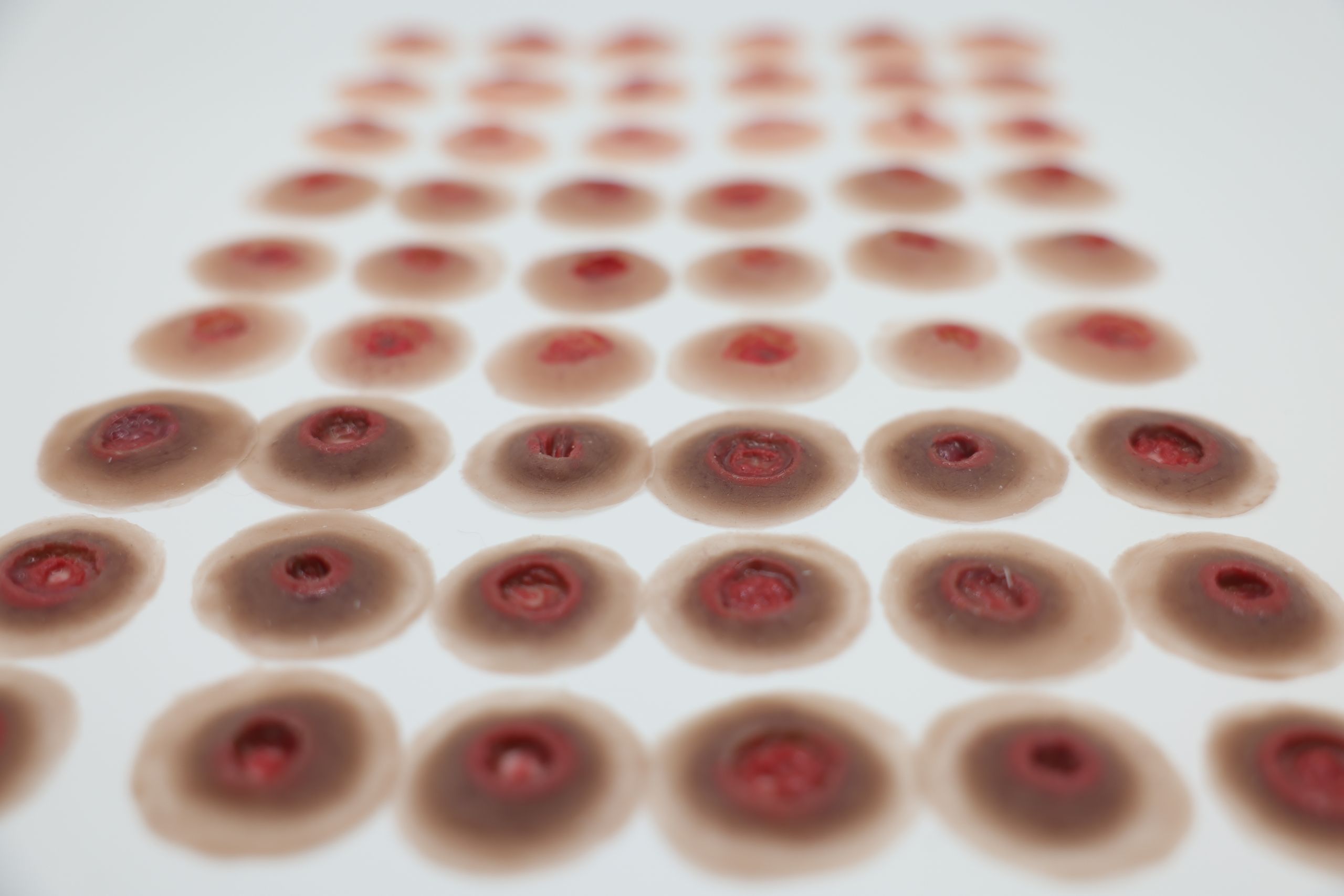 Entrance Wound - Image 2