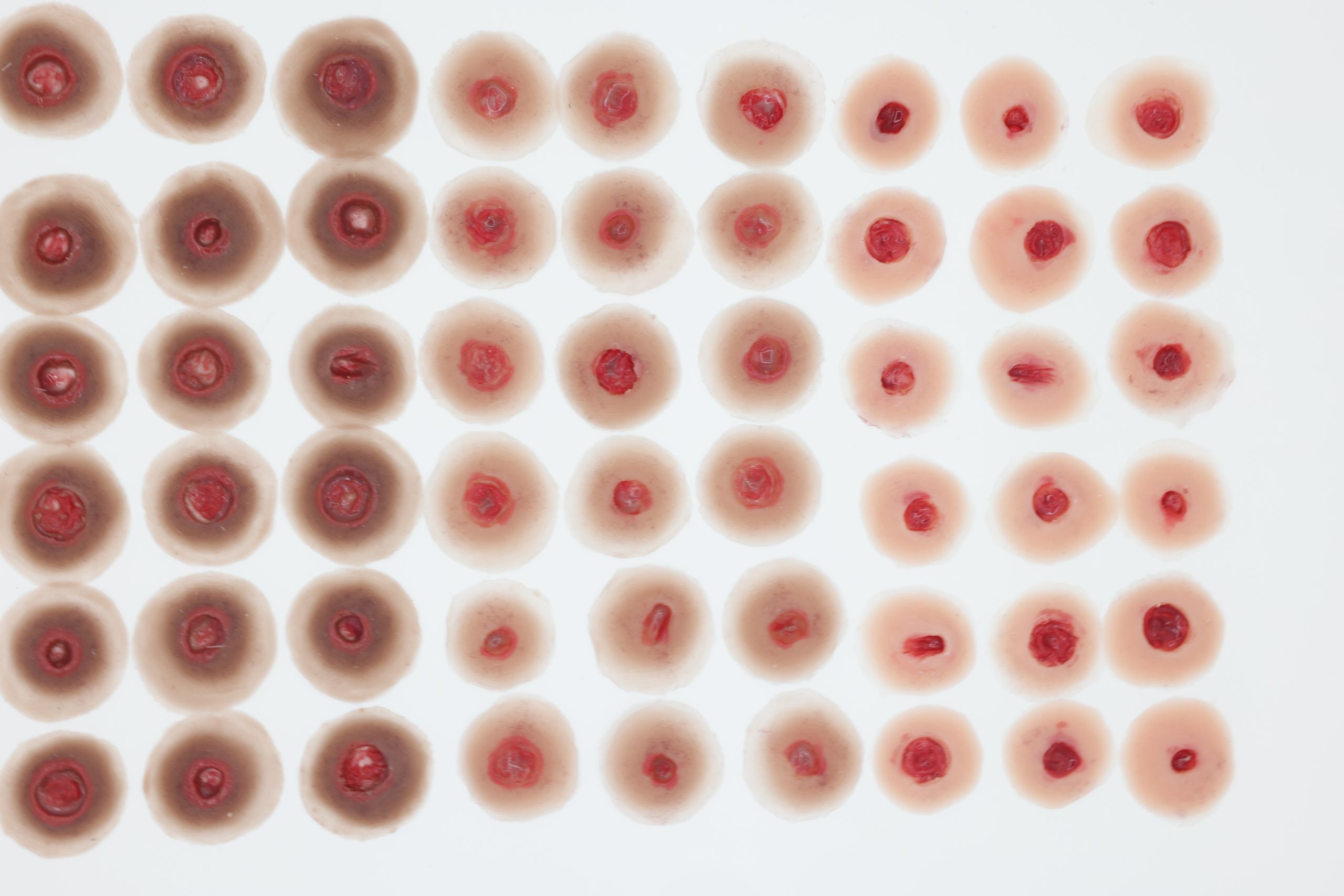 Entrance Wound - Image 3