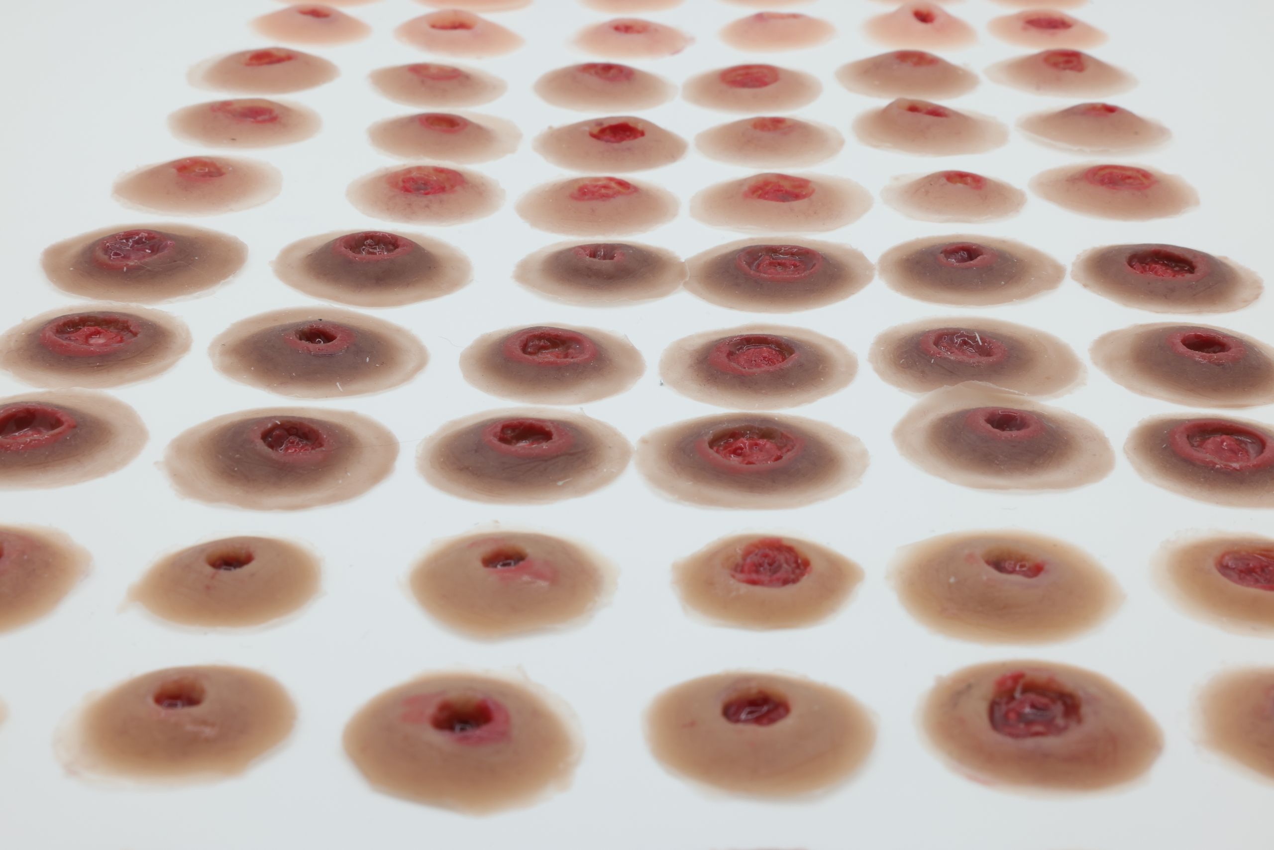 Entrance Wound - Image 4