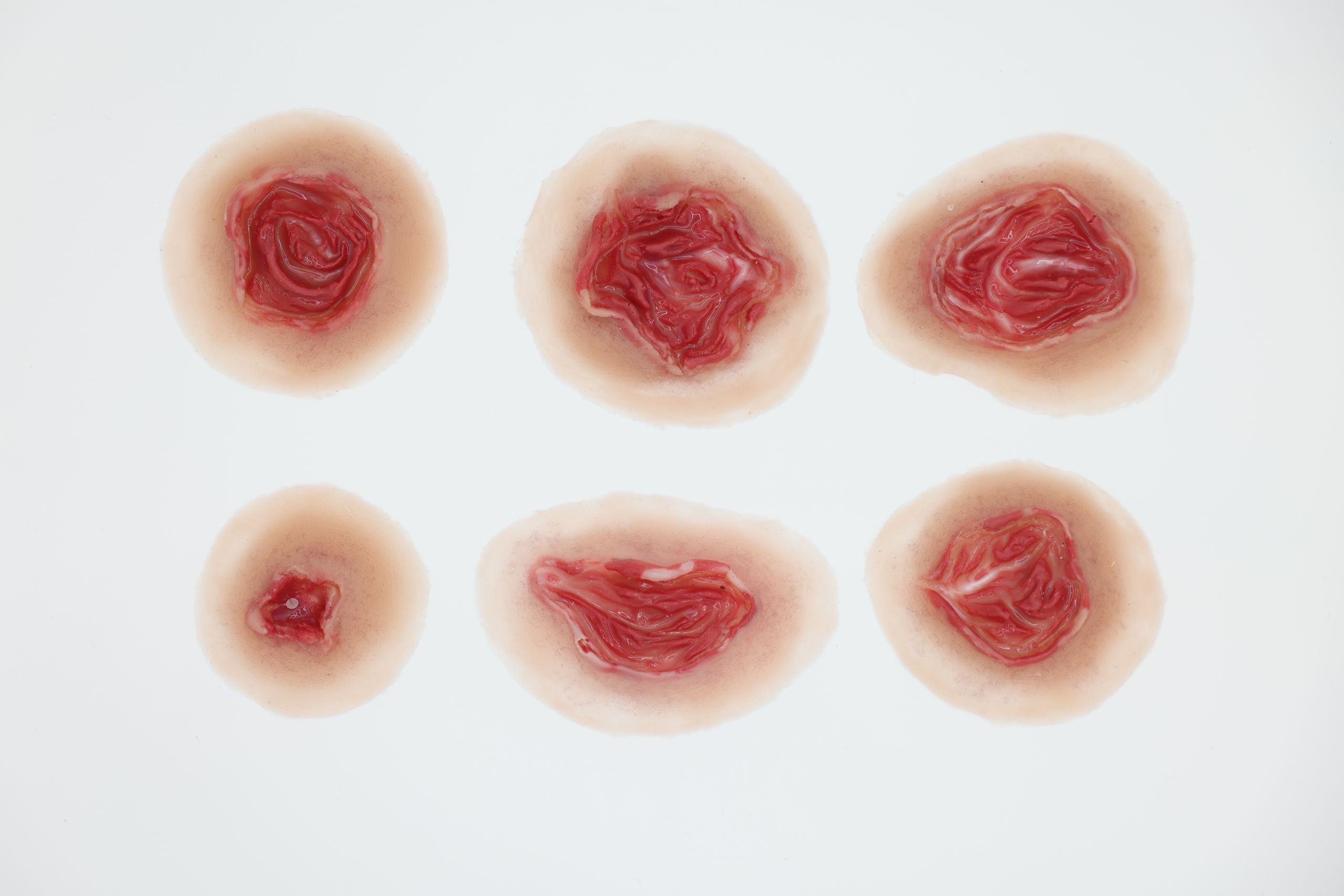 Exit Wound - Image 3