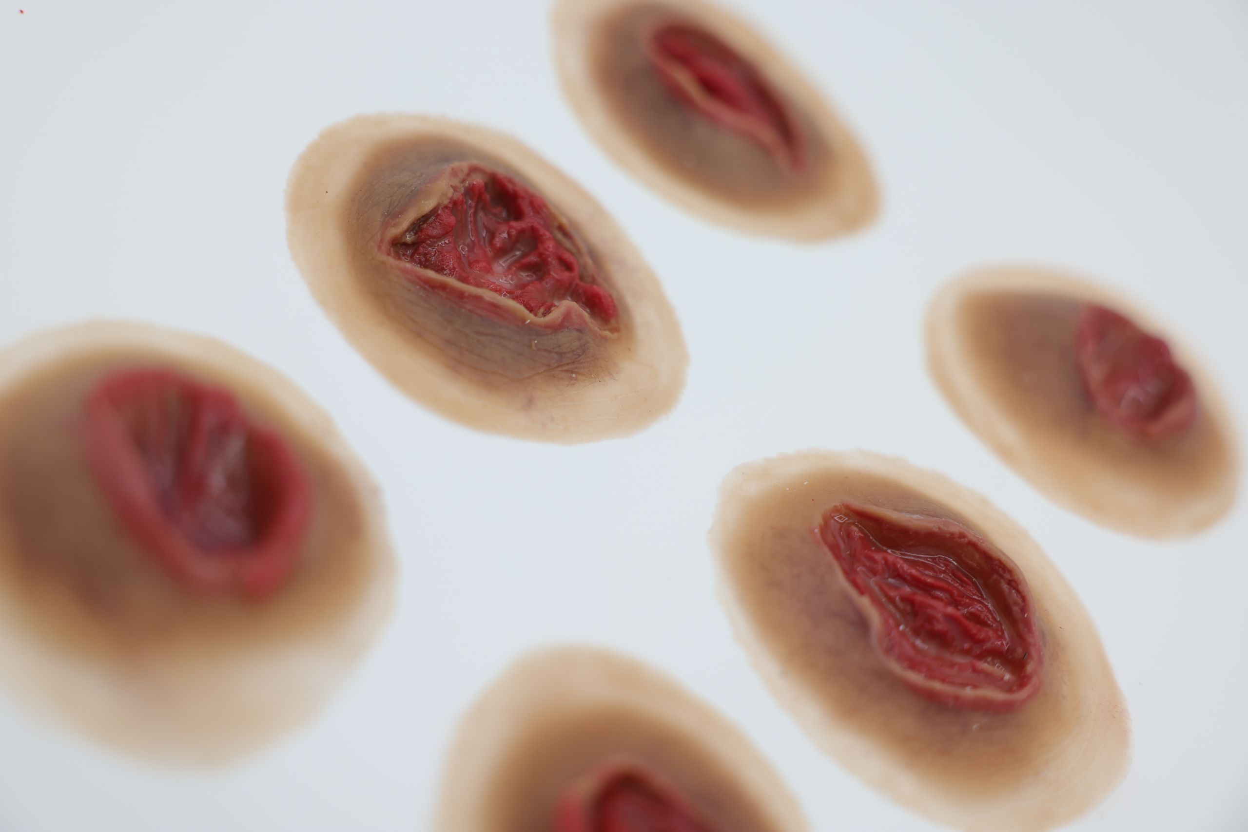 Exit Wound - Image 4