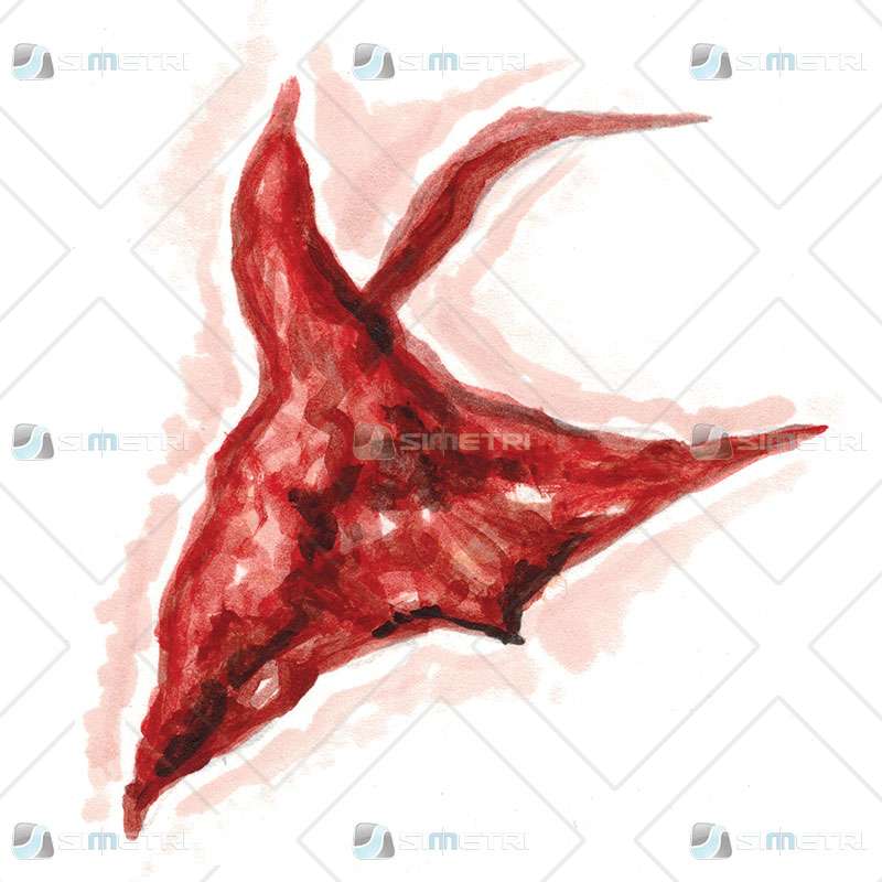 Laceration Trauma Tattoo