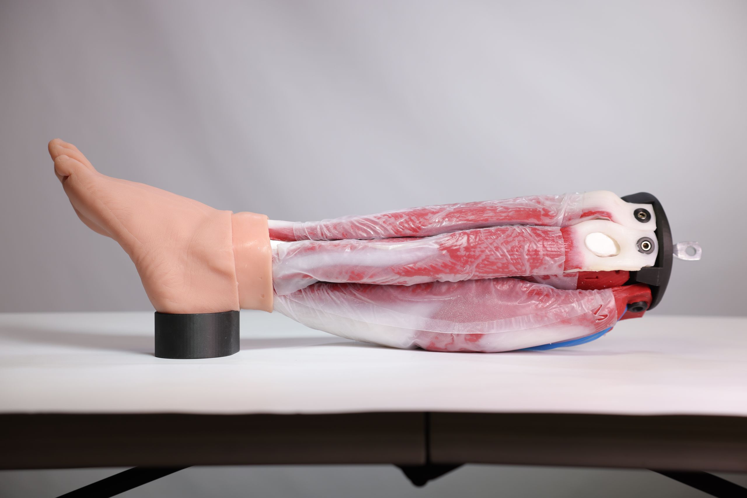 Lower Extremity Fasciotomy Training System - Image 7