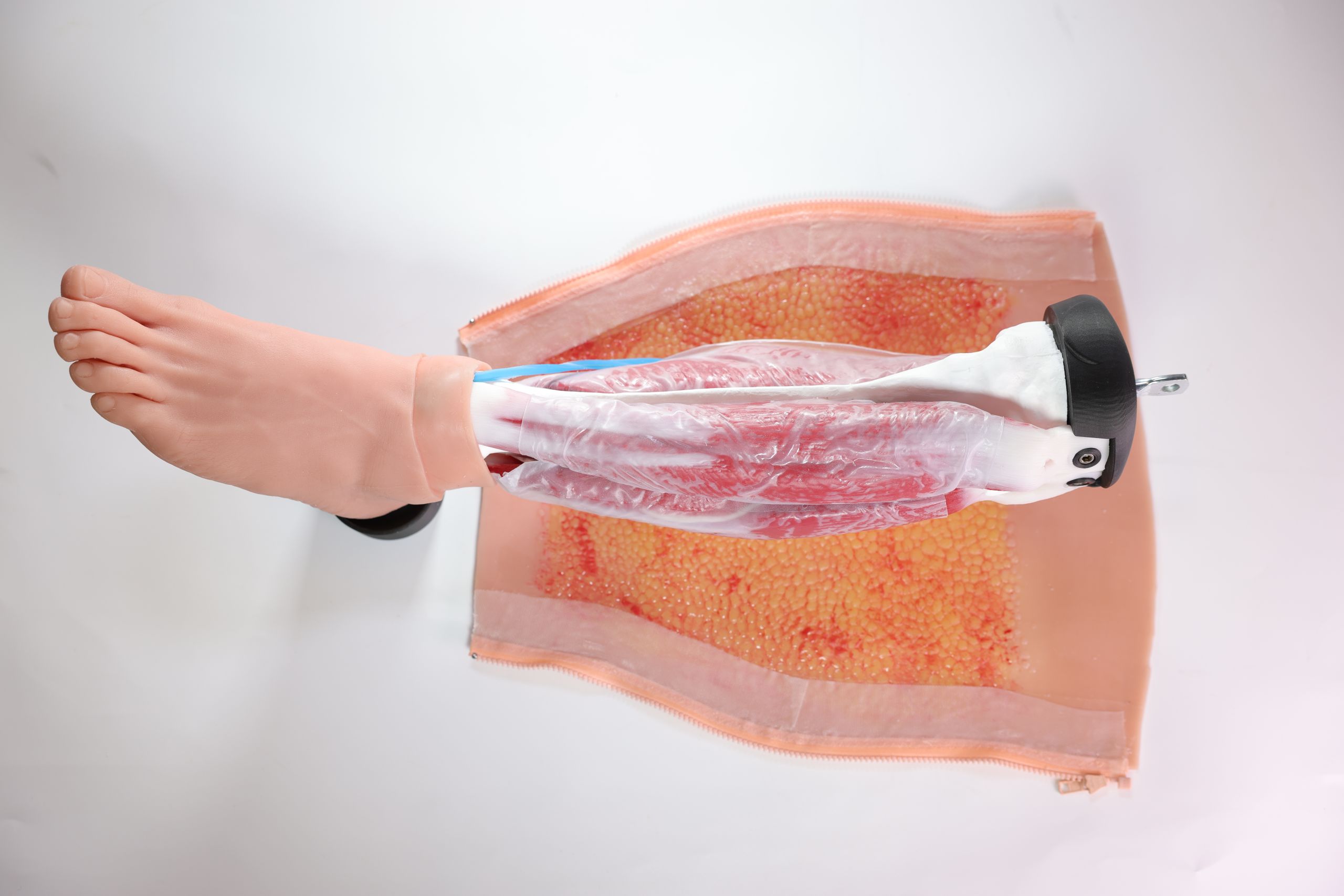 Lower Extremity Fasciotomy Training System - Image 6