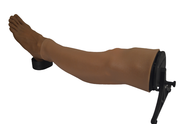 Lower Extremity Fasciotomy Training System - Image 5