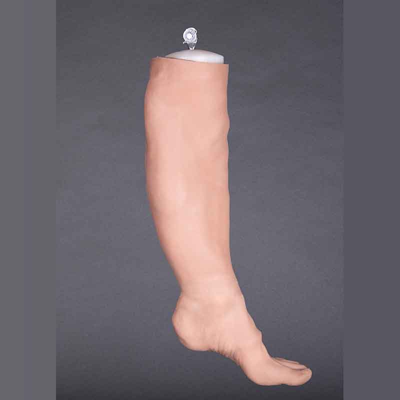 Lower Extremity Fasciotomy Training System - Image 2