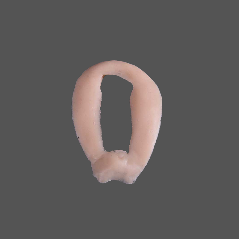 Humeral Head Intraosseous Part Task Trainer - Inner Shoulder Plug - Right Light