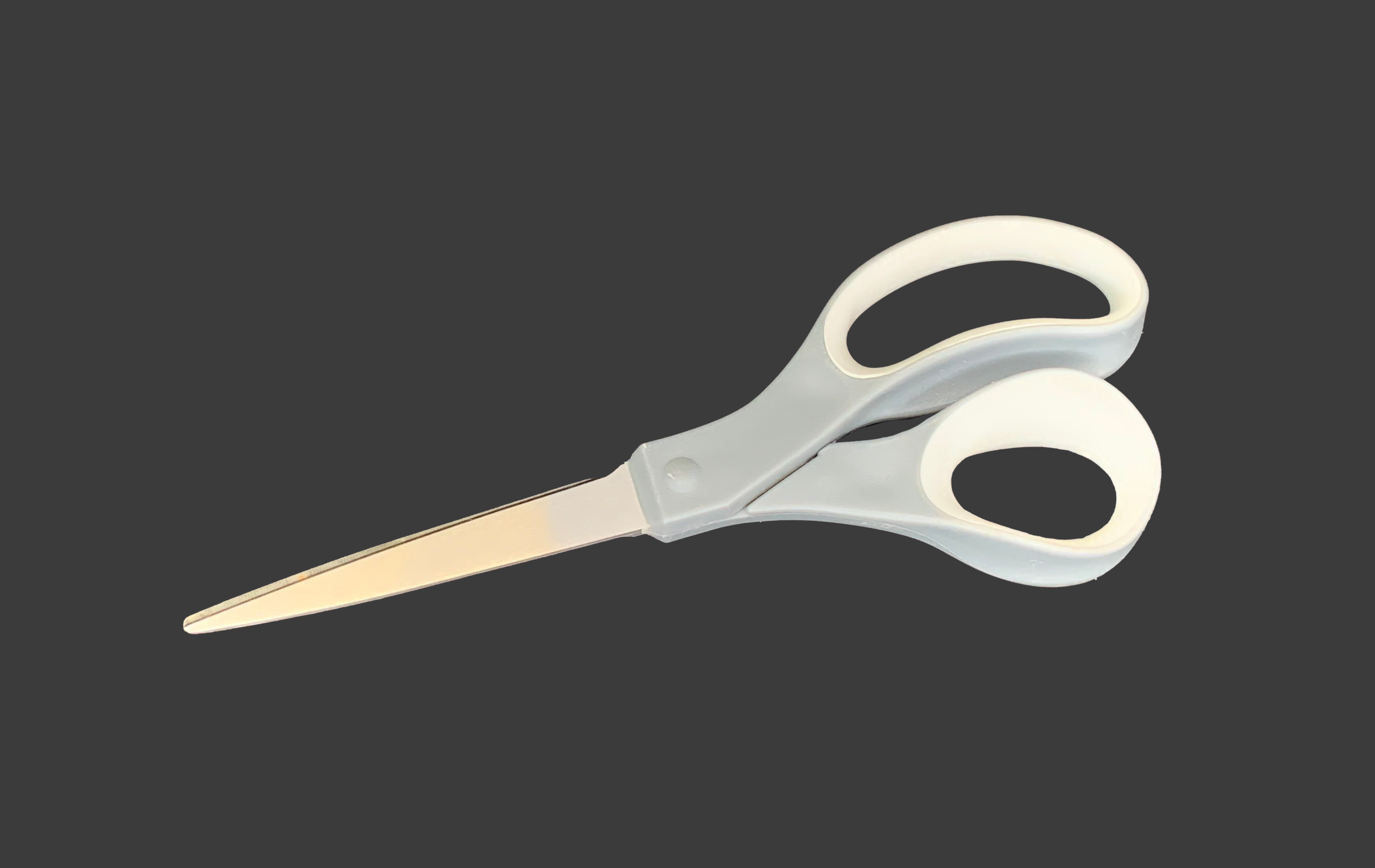 8" Stainless Steel Scissors